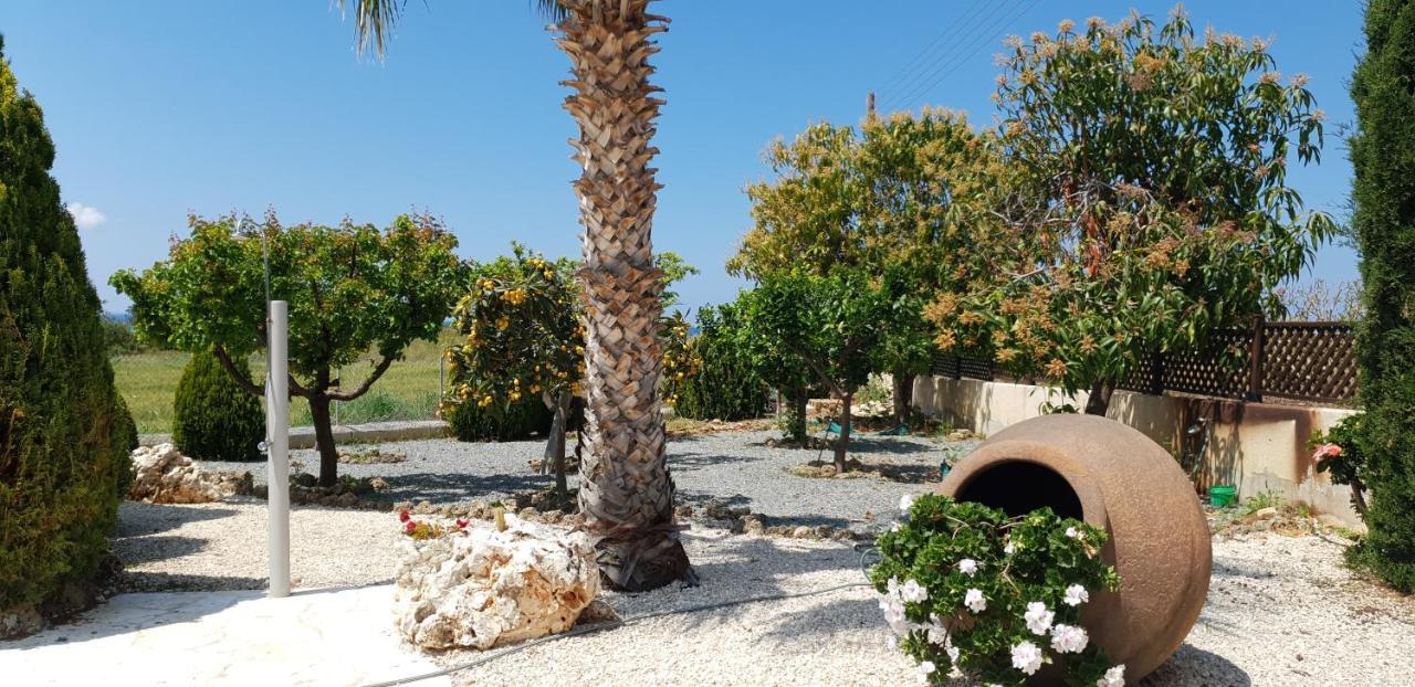 Villa Bimini Argaka Esterno foto